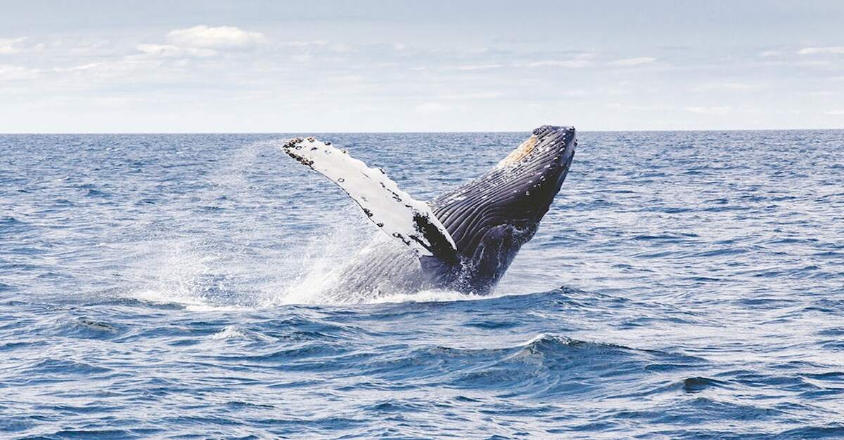 PUERTO MADRYN